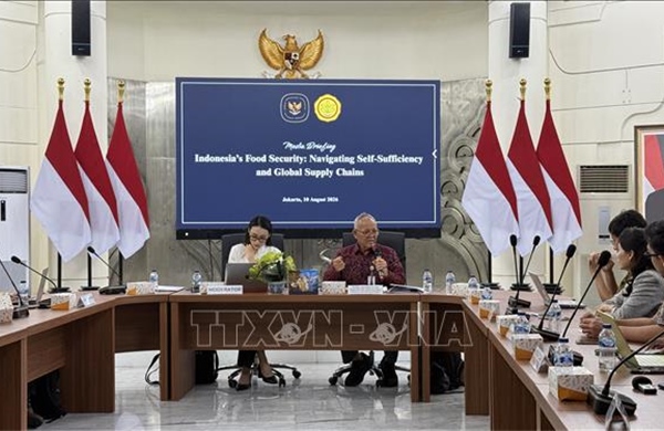 Định hướng phát triển nông nghiệp của Indonesia mở ra tiềm năng hợp tác với Việt Nam