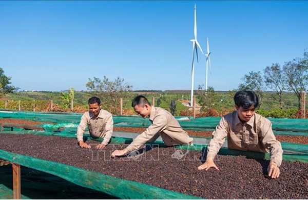 Khơi thông dòng chảy thương mại Việt Nam - New Zealand