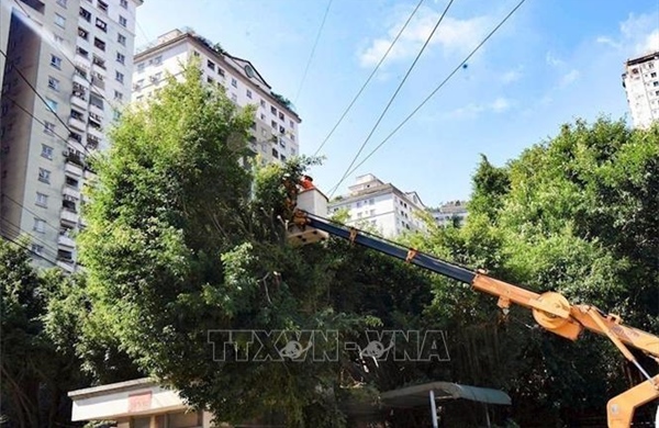 Phòng ngừa nguy cơ mất an toàn điện trong mùa mưa bão