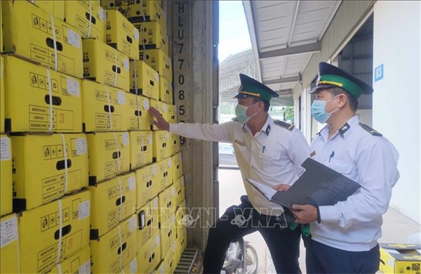 Nâng năng lực thông quan mặt hàng sầu riêng qua các cửa khẩu Lạng Sơn