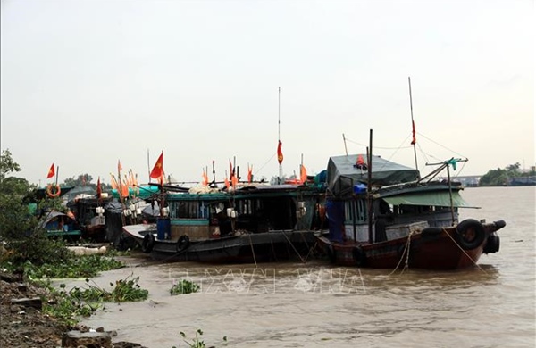 Chủ động hỗ trợ người dân phòng, chống bão số 4
