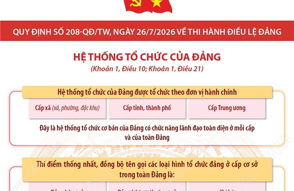 Quy định số 208-QĐ/TW: Hệ thống tổ chức của Đảng