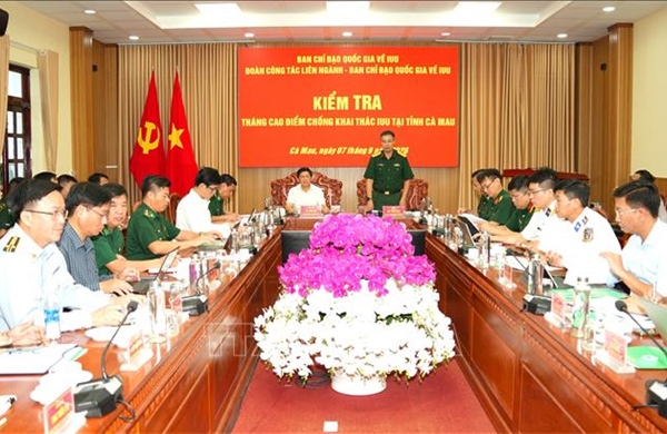 Siết chặt kiểm soát, xử lý dứt điểm vi phạm khai thác IUU