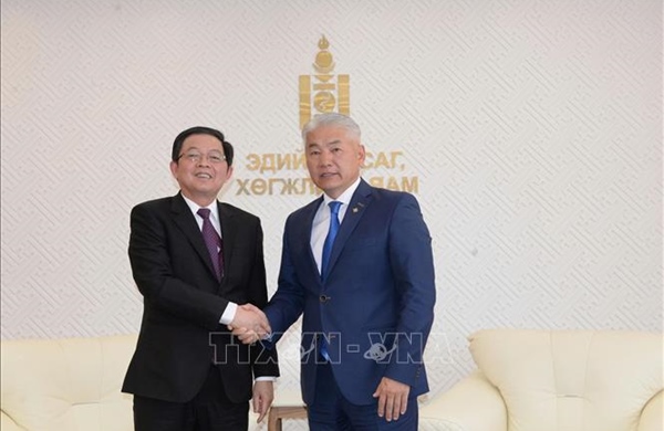 Phó Thủ tướng Hồ Quốc Dũng làm việc với Phó Thủ tướng Thường trực, Bộ trưởng Kinh tế và Phát triển Mông Cổ