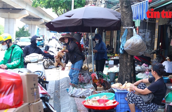 Hà Nội: Chợ tự phát đua nhau lấn chiếm vỉa hè, lòng đường 