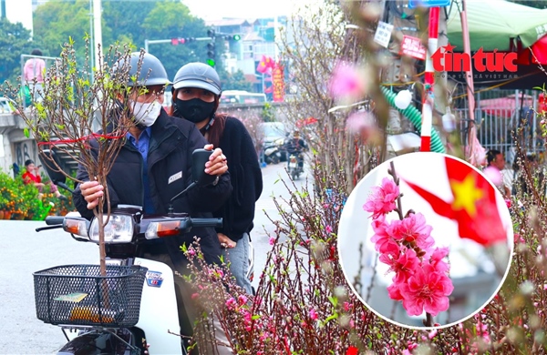 Chợ hoa Quảng Bá ngập tràn sắc xuân, người dân Hà Nội nô nức ghé thăm