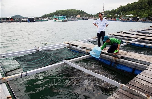 Chuyển đổi nghề, tạo sinh kế mới bền vững cho ngư dân