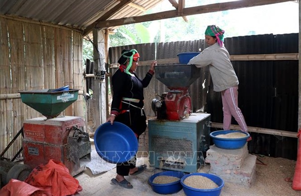 Xuân về Thài Khao