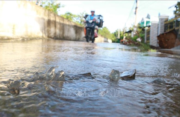 Xuất hiện đợt triều cường mới ở ven biển Đông Nam Bộ