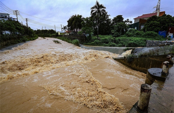 Dự báo thời tiết 10 ngày: Nhiều khu vực có mưa dông, cục bộ có nơi mưa to đến rất to