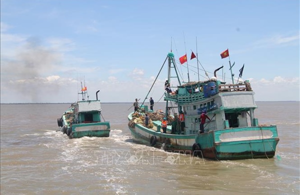 Quyết liệt đấu tranh, chống khai thác IUU