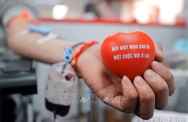 Lễ hội Xuân hồng 2026: Biến yêu thương thành sức mạnh