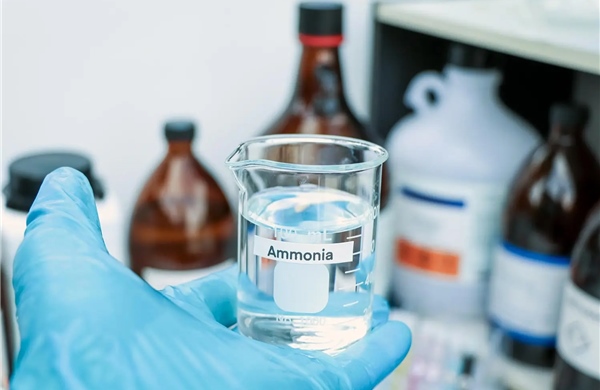 Thu thập dữ liệu sự cố rò rỉ amoniac lỏng tại Cảng chuyên dùng Phước Thái