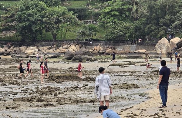 Tăng cường bảo vệ rạn san hô tại Hòn Chồng (Nha Trang)