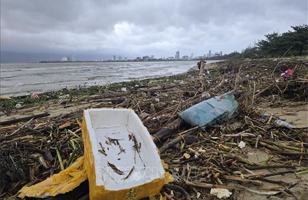 Đà Nẵng tổng lực làm sạch tuyến ven biển