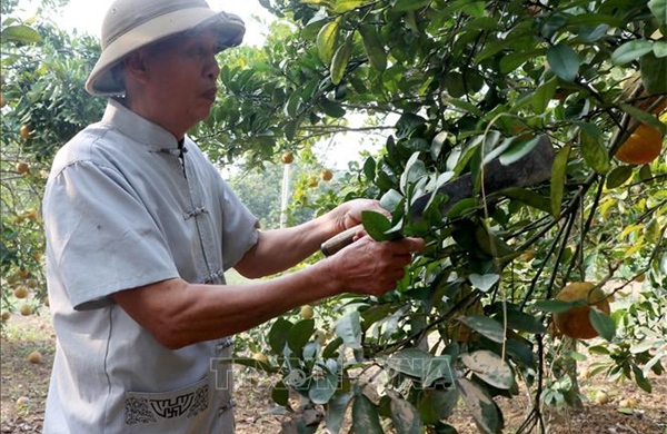 Câu chuyện đẹp về nghị lực và tinh thần cống hiến