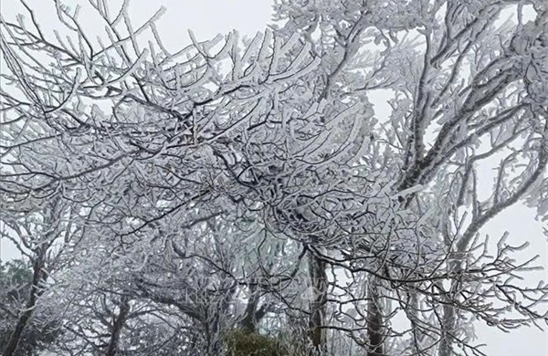 Băng giá phủ kín đỉnh Phia Oắc