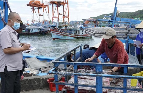 Gia Lai vận hành hệ thống cảnh báo thông minh khắc phục 'thẻ vàng' IUU