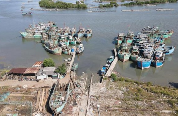 TP Hồ Chí Minh quản lý tất cả tàu cá trên hệ thống Vnfishbase