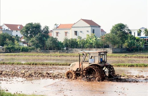Thêm hơn 6% diện tích có nước để gieo cấy vụ Đông Xuân