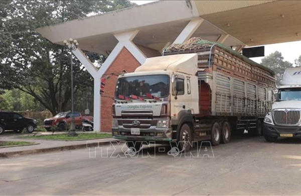 Tây Ninh kịp thời tháo gỡ khó khăn thủ tục nhập hàng nông sản tại cửa khẩu