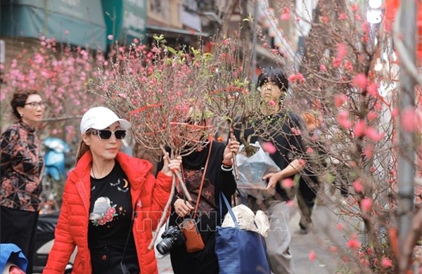Xôn xao đào, quất chợ hoa Hàng Lược
