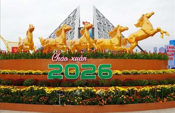 Rực rỡ sắc xuân, rộn ràng đón Tết Bính Ngọ 2026