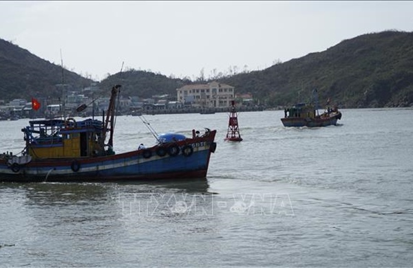 Ngư dân tấp nập vươn khơi ​