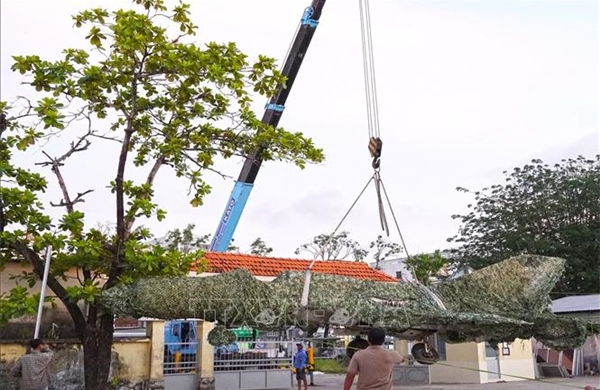 Di dời để bảo tồn chiếc máy bay tiêm kích MiG-21 sau 4 thập kỷ bị 'bỏ quên'