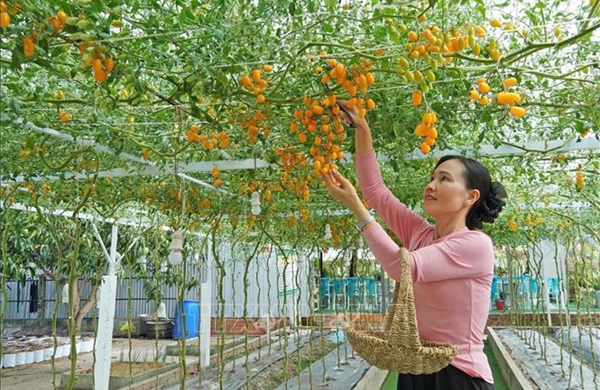 Khơi dậy khát vọng làm giàu, xây dựng nông thôn mới bền vững