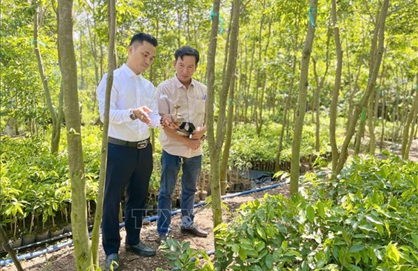 Bùng nổ doanh thu nhờ công nghệ