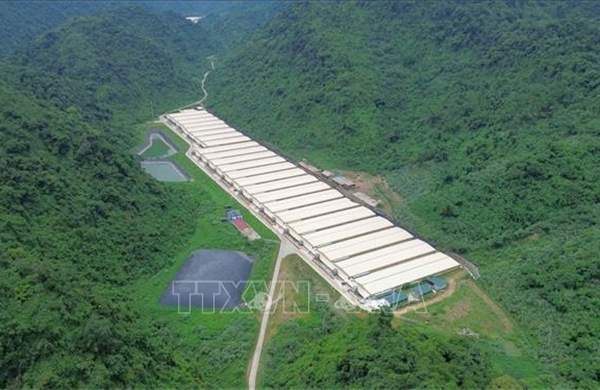 Khẩn trương điều tra, khắc phục vụ tai nạn lao động tại trang trại chăn nuôi ở Thanh Hóa
