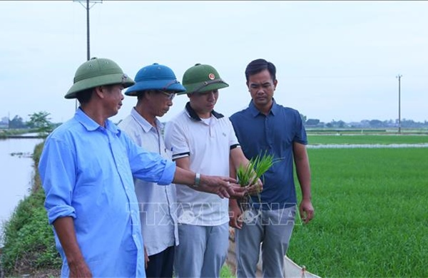 Chuyển biến tích cực từ đội ngũ cán bộ trẻ gần dân, sát dân