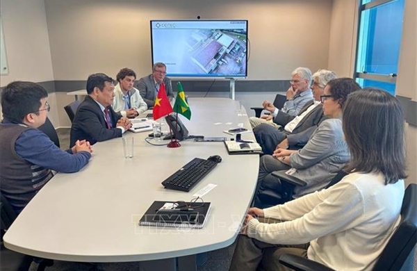 Việt Nam, Brazil tăng cường hợp tác về chuyển đổi số