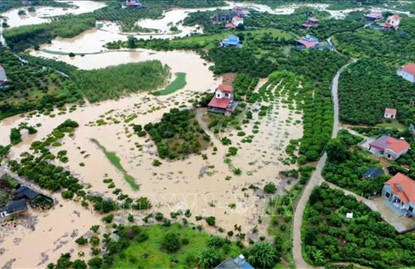 Mưa lũ nhấn chìm hàng nghìn ha lúa, hoa màu ở Bắc Ninh