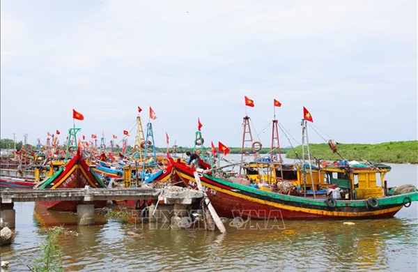 Nghệ An: Ngư dân làng biển Diễn Châu đồng loạt treo cờ Tổ quốc trên tàu, thuyền dịp Quốc khánh 2/9