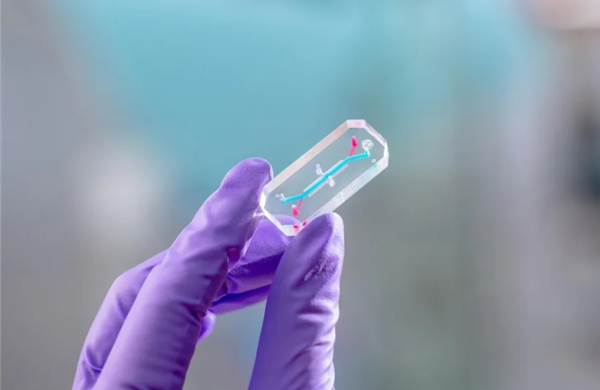 NASA tiết lộ về chiếc hộp nhỏ kỳ lạ đi cùng phi hành đoàn Artemis II vào vũ trụ