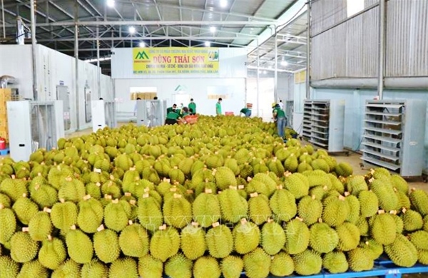 Hệ thống truy xuất nguồn gốc góp phần giữ vững uy tín, nâng cao giá trị nông sản Việt Nam