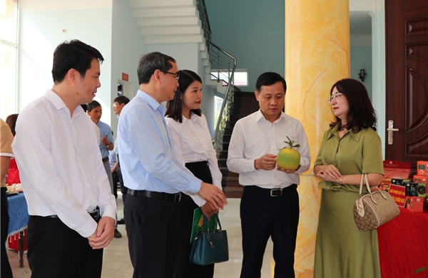 Tuyên Quang nâng tầm sản phẩm OCOP: Từ chất lượng đến thương hiệu