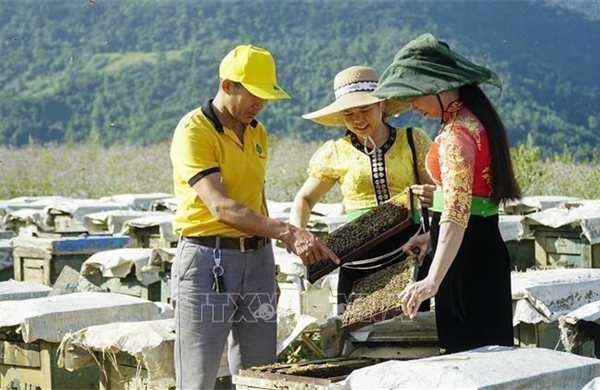 Khát vọng vươn mình trên mảnh đất Điện Biên lịch sử