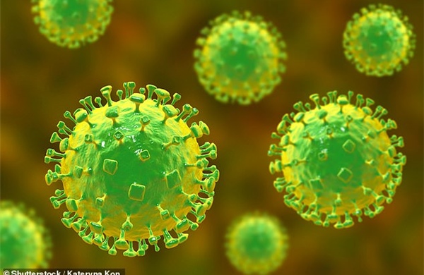 Đà Nẵng nâng cao ý thức bảo vệ sức khỏe cộng đồng, phòng chống dịch bệnh do virus Nipah