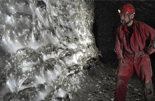 Cận cảnh mạng nhện lớn nhất thế giới rộng 106 mét vuông