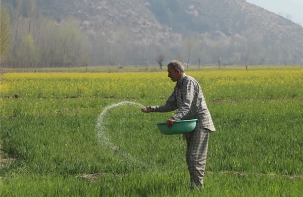 Nông dân Nam Á lao đao vì cú sốc phân bón do khủng hoảng Hormuz