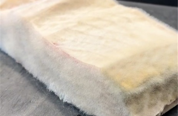 Cá ngừ ủ mốc – đặc sản 'xù lông' kỳ lạ của Nhật Bản