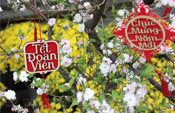 TẾT… LÀ THẤY HẾT