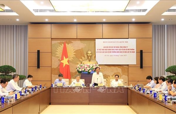 Quốc hội giám sát việc bảo vệ môi trường của Tập đoàn Điện lực Việt Nam, Tập đoàn Hóa chất Việt Nam
