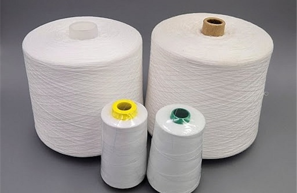 Tiếp nhận hồ sơ rà soát cuối kỳ chống bán phá giá sợi dài từ polyester 