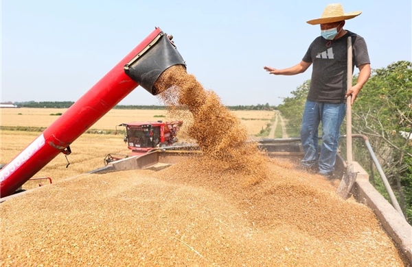 ‘Cánh đồng thông minh’ đưa Trung Quốc tiến gần mục tiêu tự chủ lương thực