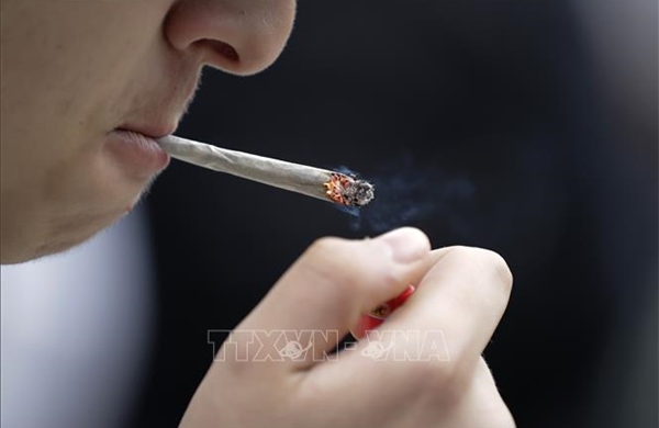 Chuyên gia kêu gọi Anh cấm đầu lọc thuốc lá để bảo vệ sức khỏe và môi trường
