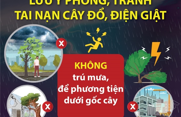 Những lưu ý phòng, tránh tai nạn cây đổ, điện giật